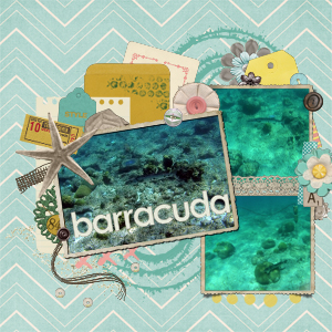 Barracuda