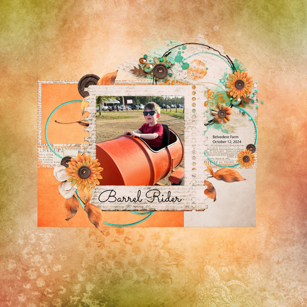 Barrel Rider