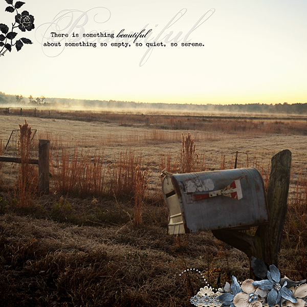 Barren Beauty