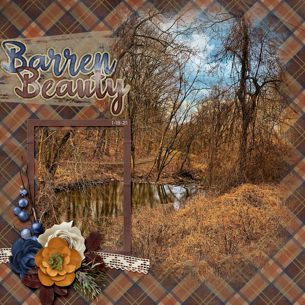 Barren Beauty