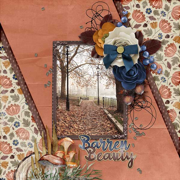Barren Beauty