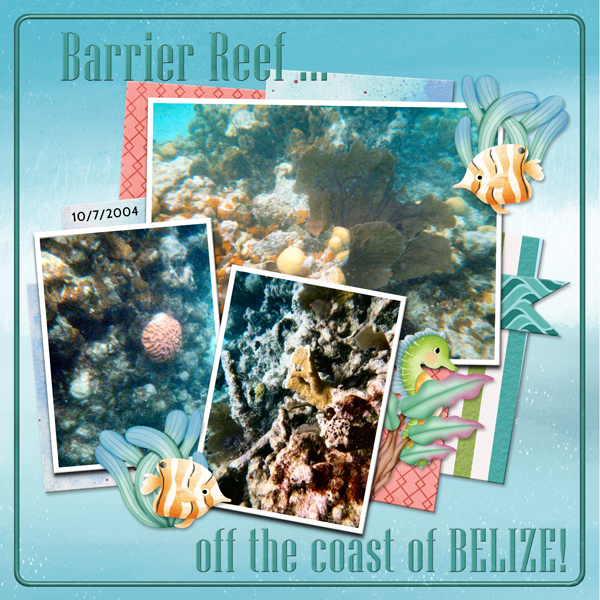 Barrier Reef off the coast of Belize!