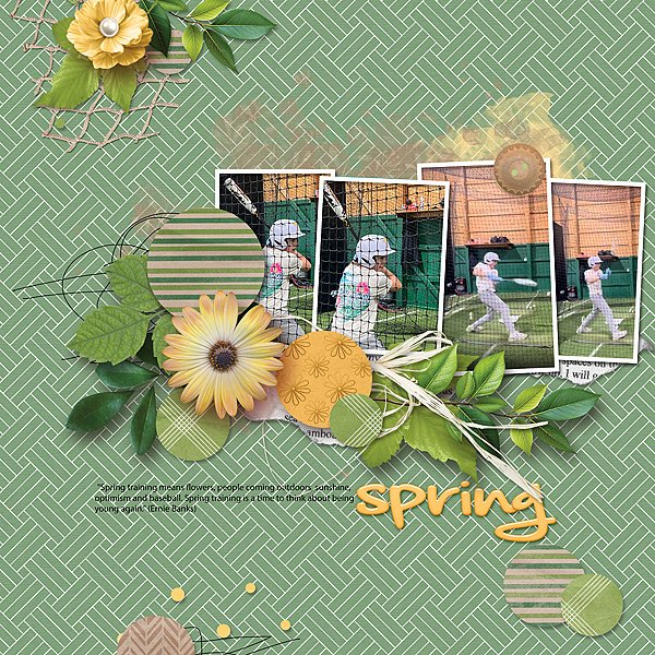 Baseball and Spring