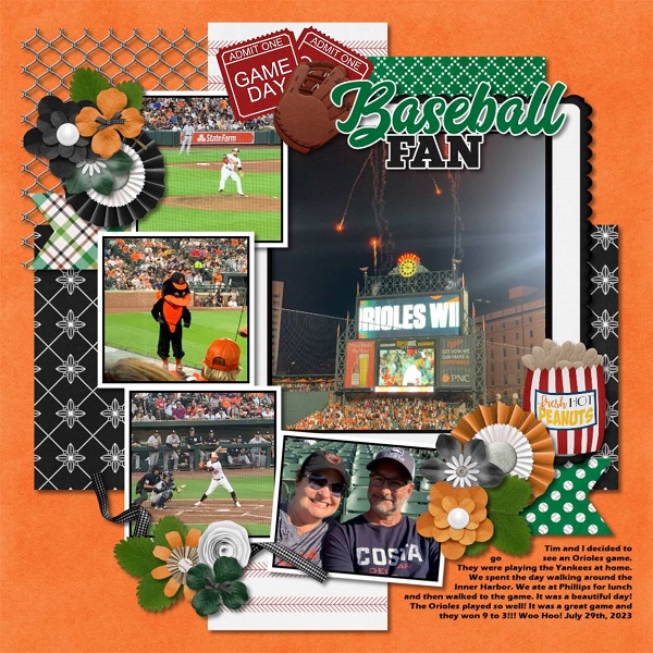 Baseball Fan