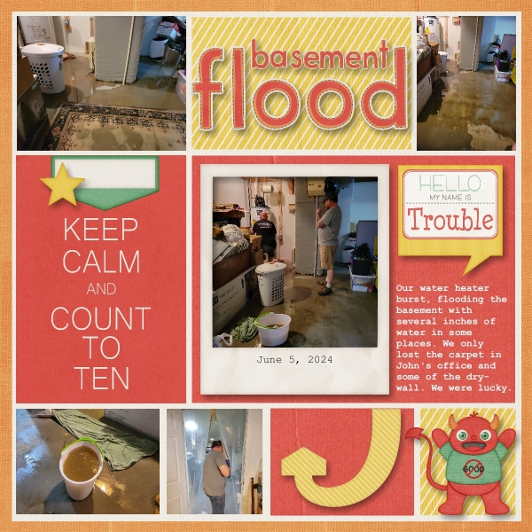 Basement Flood 2024