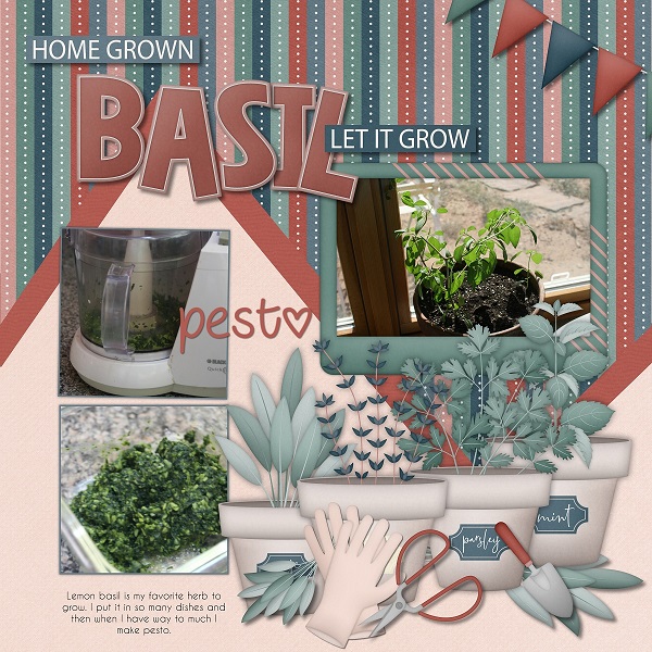 Basil Pesto