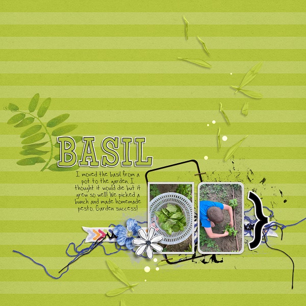 Basil