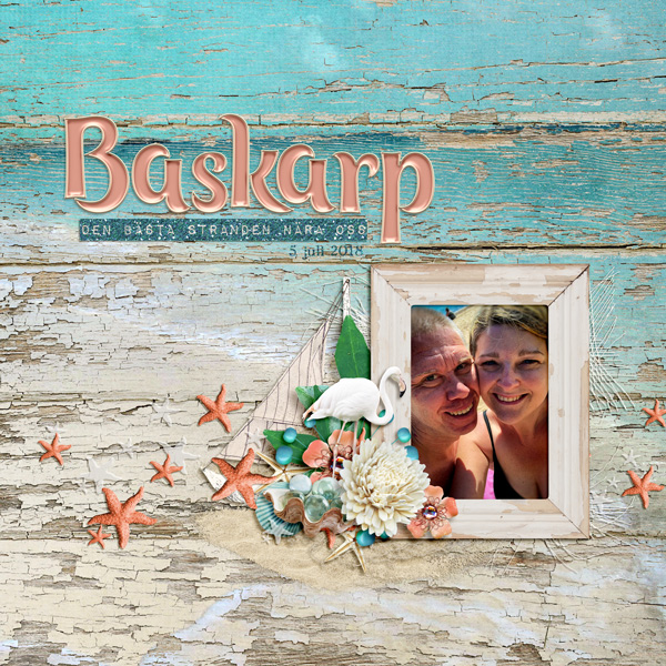 Baskarp 2018