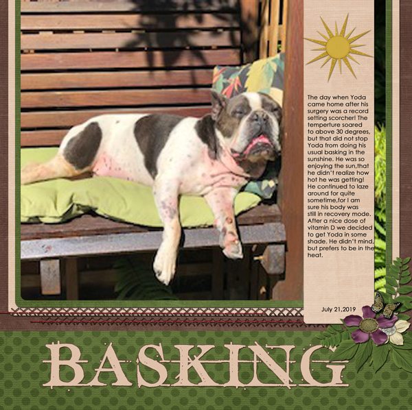 BASKING