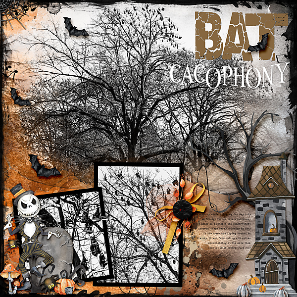 Bat Cacophony