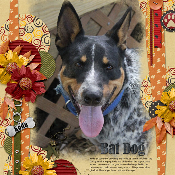Bat Dog - Super Hero