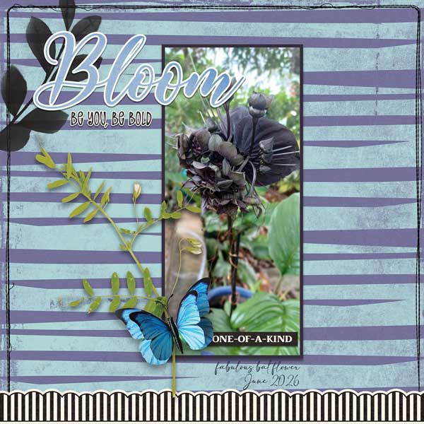 Bat-Flower-webv.jpg