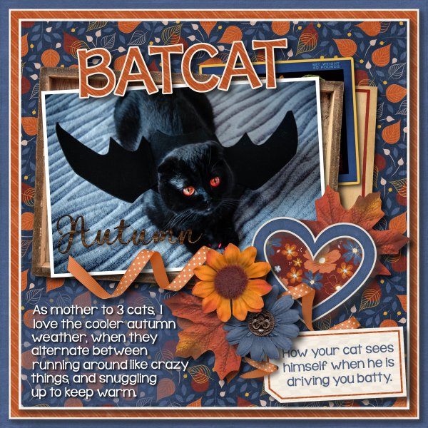 Batcat