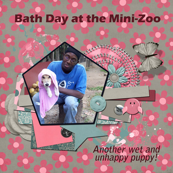 Bath Day at the Mini-Zoo