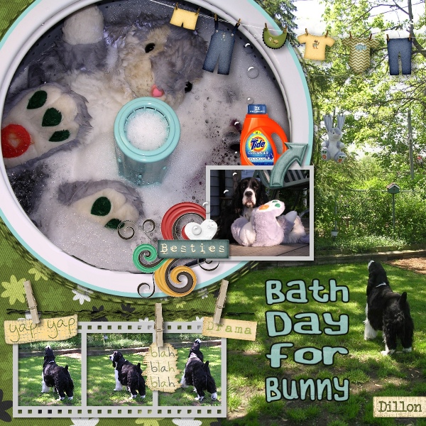 Bath Day for Bunny