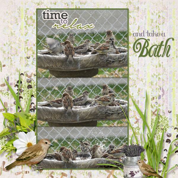 bath_small