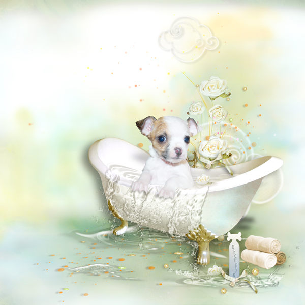 Bathing Puppy Petunia