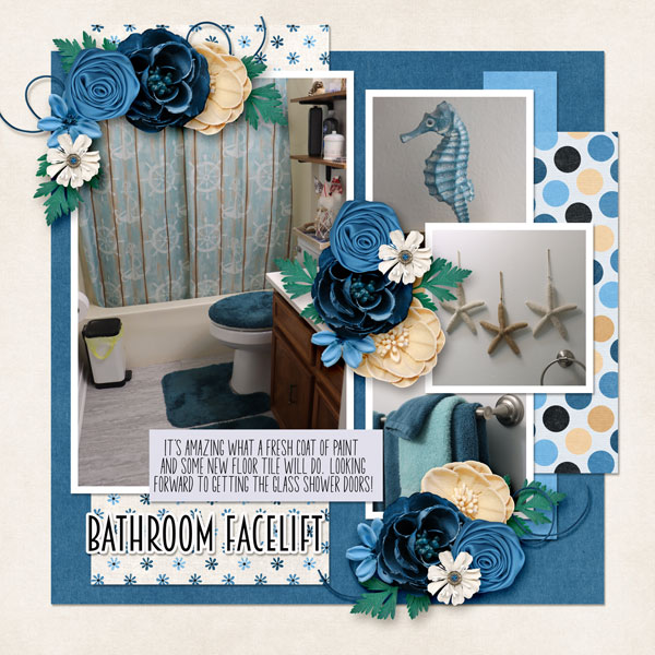 Bathroom Facelift