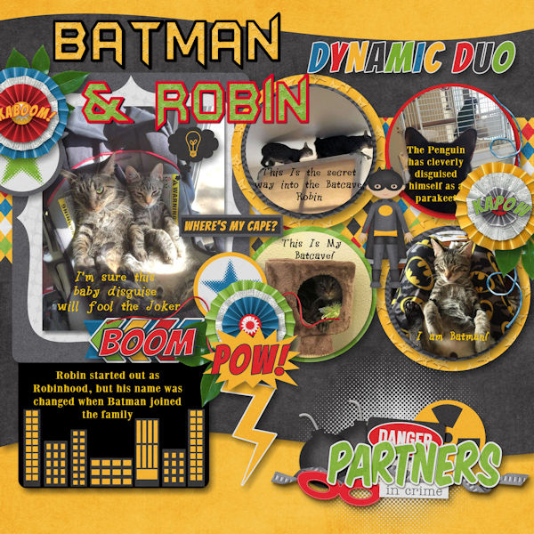 Batman + Robin