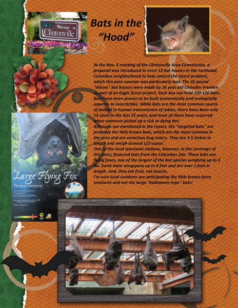 Bats in the Hood