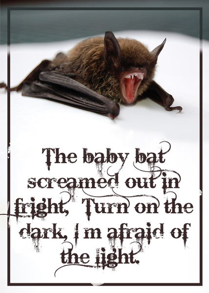 Bats