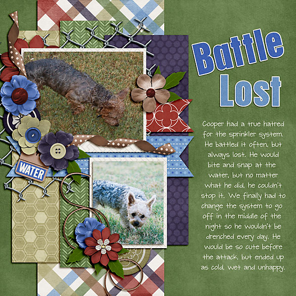 Battle Lost