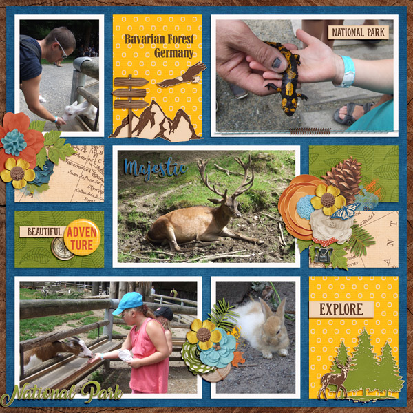 Bavarian Forest Germany