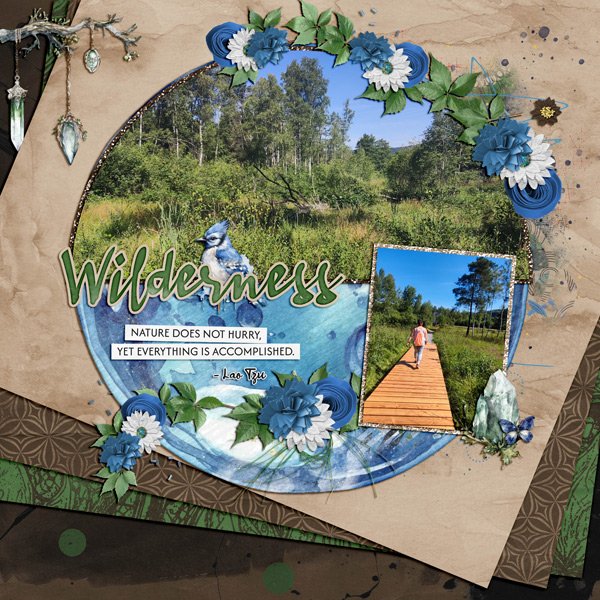 Bavarian Moor