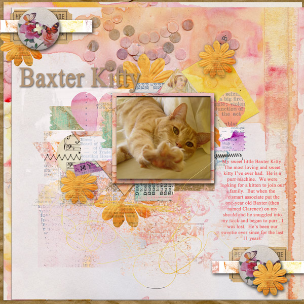 Baxter Kitty