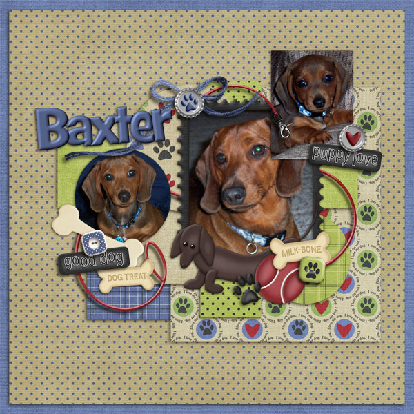 Baxter