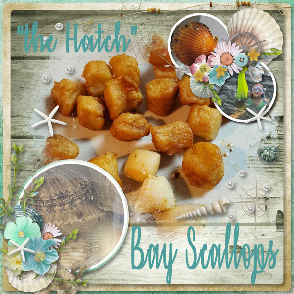 Bay Scallops
