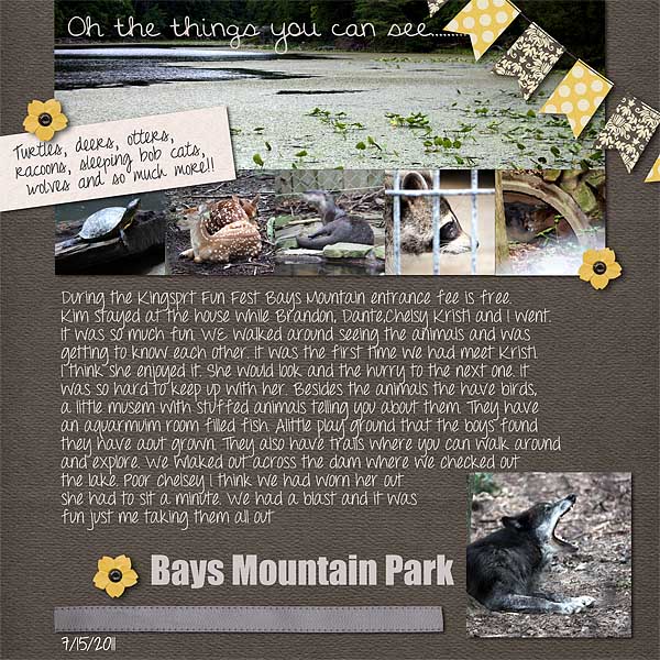 Bays Mountain Park
