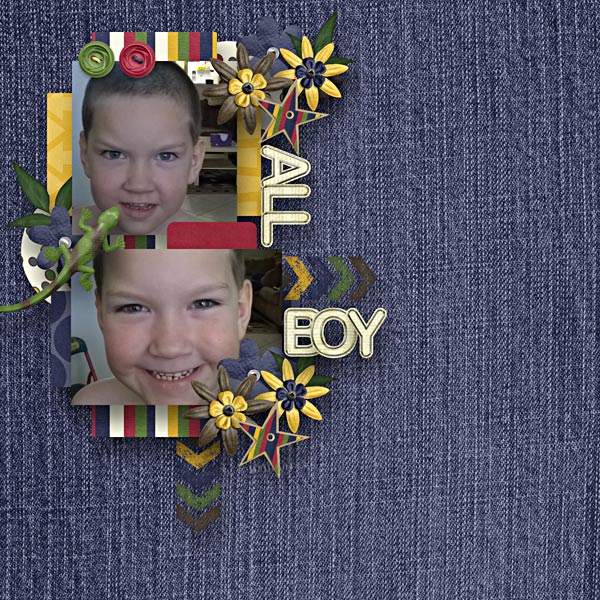 BD-AllBoy1