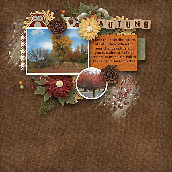 BD-Autumn
