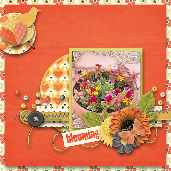 BD-Blooming