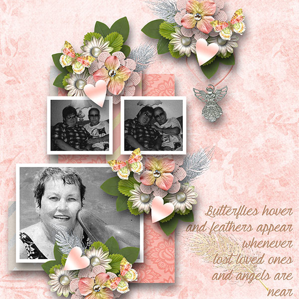BD-ButterfliesandFeathers