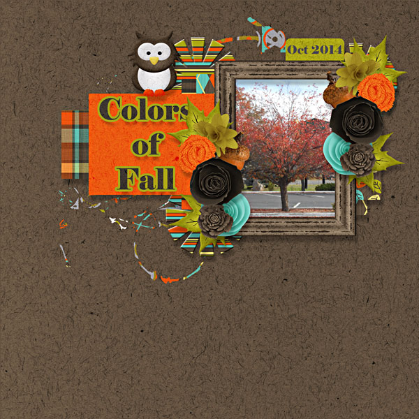 BD-ColorsofFall