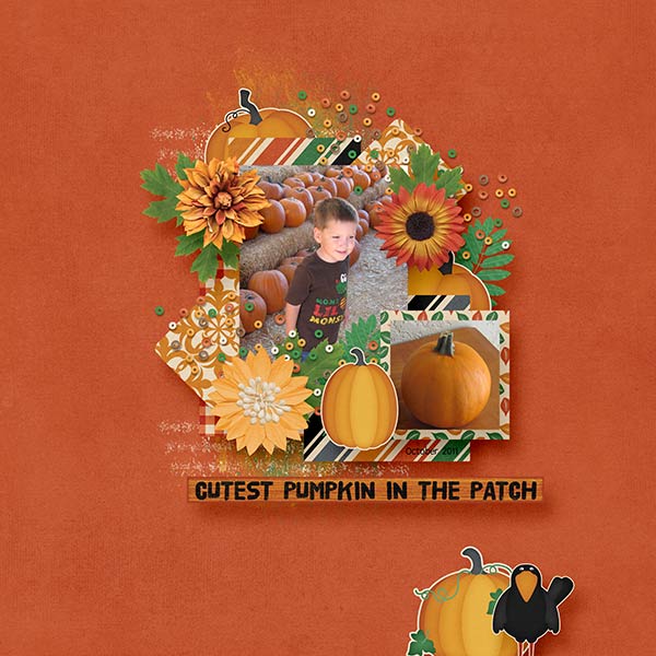 BD-CutestPumpkin