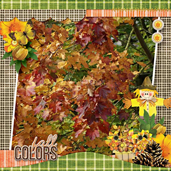 BD-FallColors