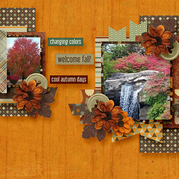 BD-FallDays