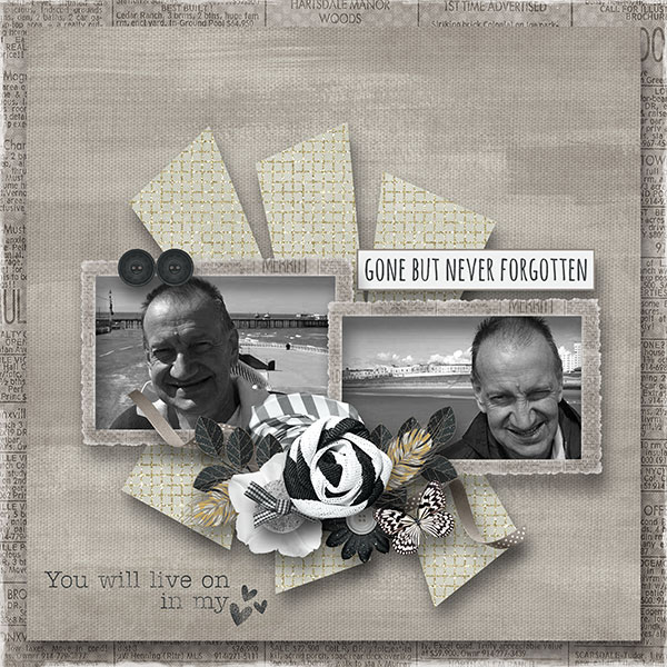 BD-GoneButNotForgotten