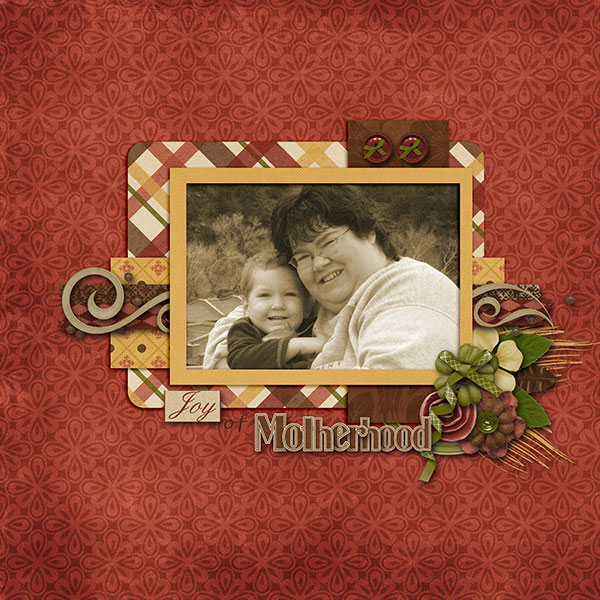 BD-JoyofMotherhood