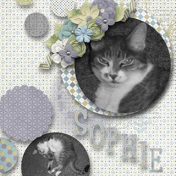 BD-MissSophie