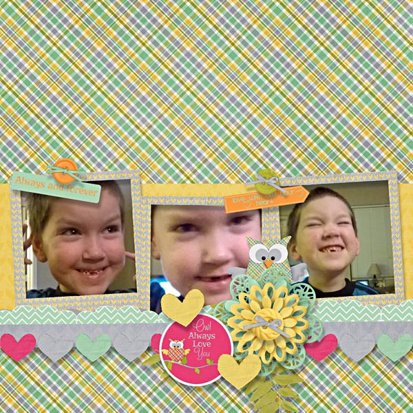 BD-OwlAlwaysLoveYou