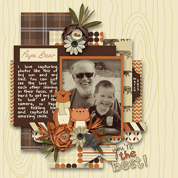 BD-PapaBear