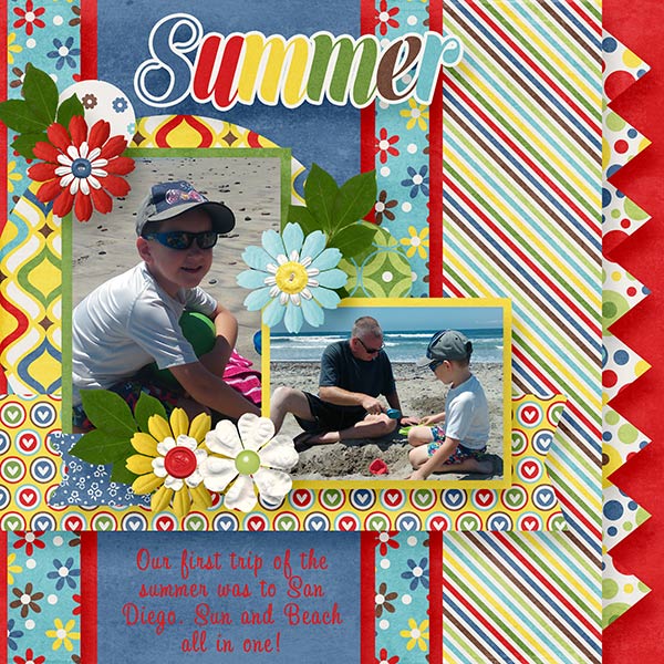 BD-Summer2015