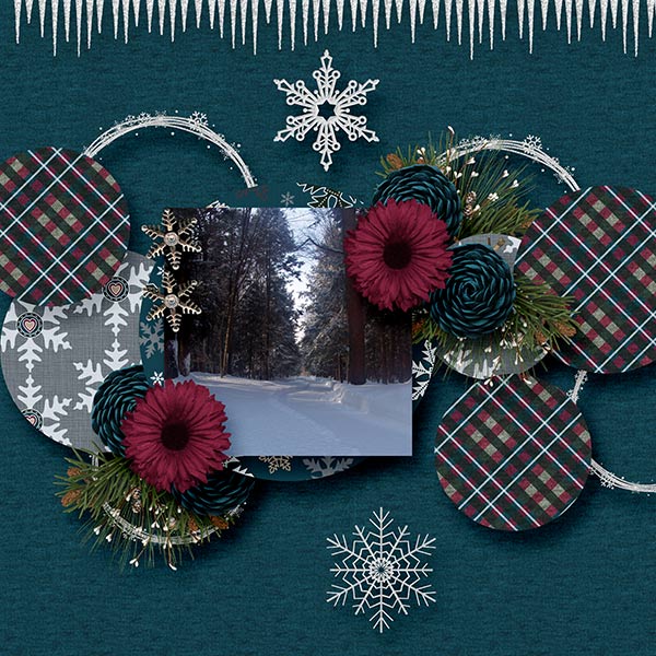 BD-WinterMoments