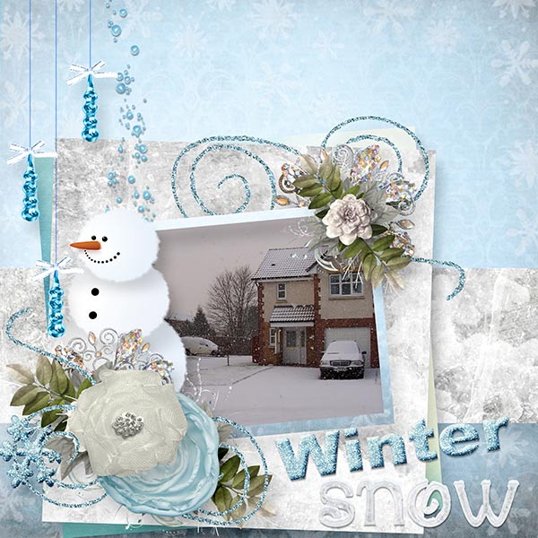 BD-WinterSnow