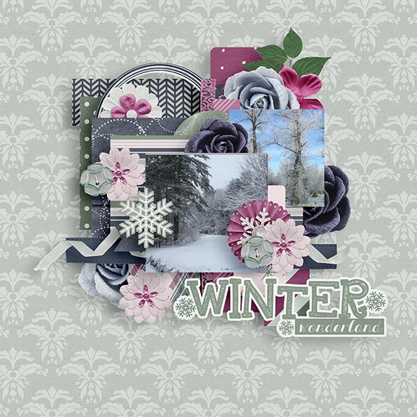BD-WinterWonderland1