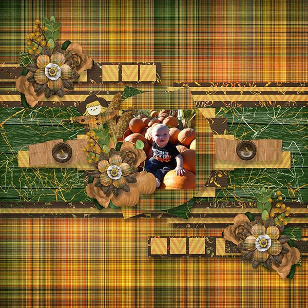BD-YonderPumpkinPatch